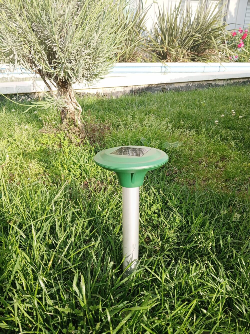 SOLAR YILAN VE KÖSTEBEK KOVUCU