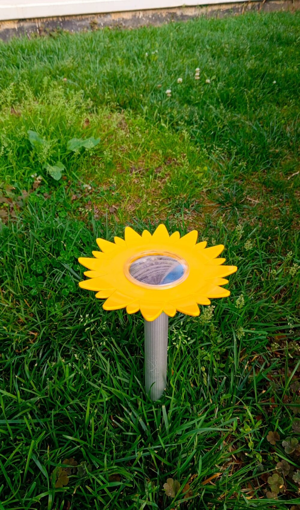 SOLAR YILAN VE KÖSTEBEK KOVUCU